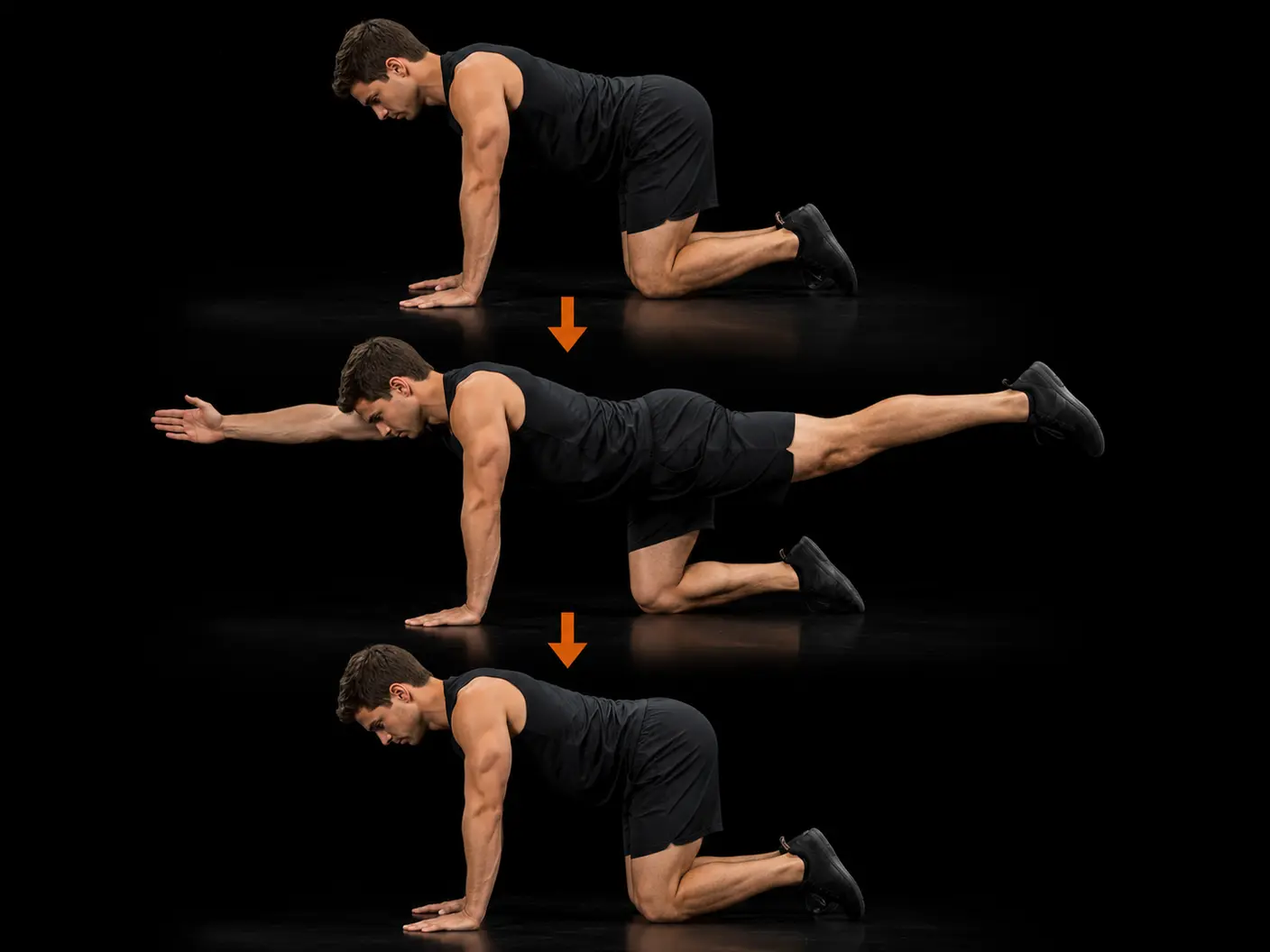 How to perform the Bird Dog