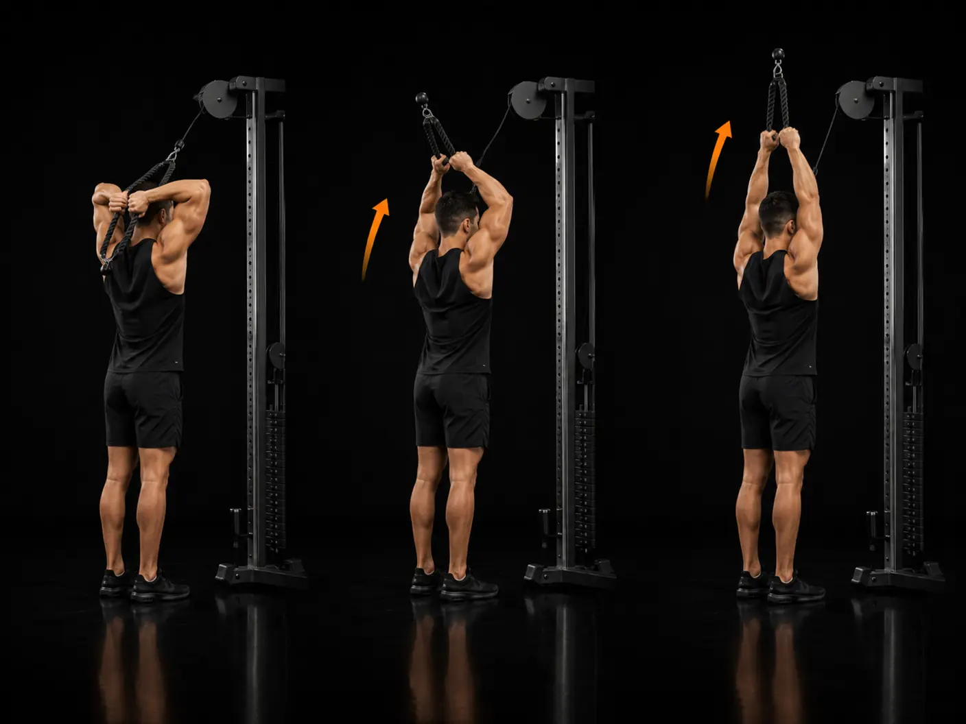 How to perform the Overhead Cable Triceps Extension